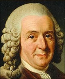 Linnaeus Karl